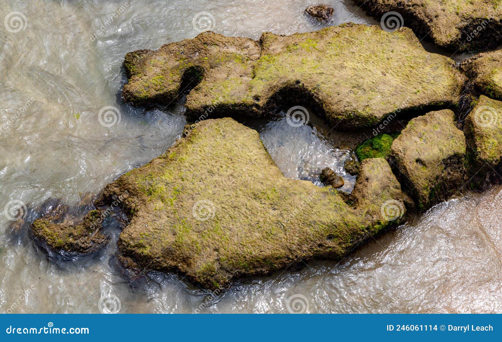 the rocks below the jetty at port noarlunga south australia on february 28th 2022