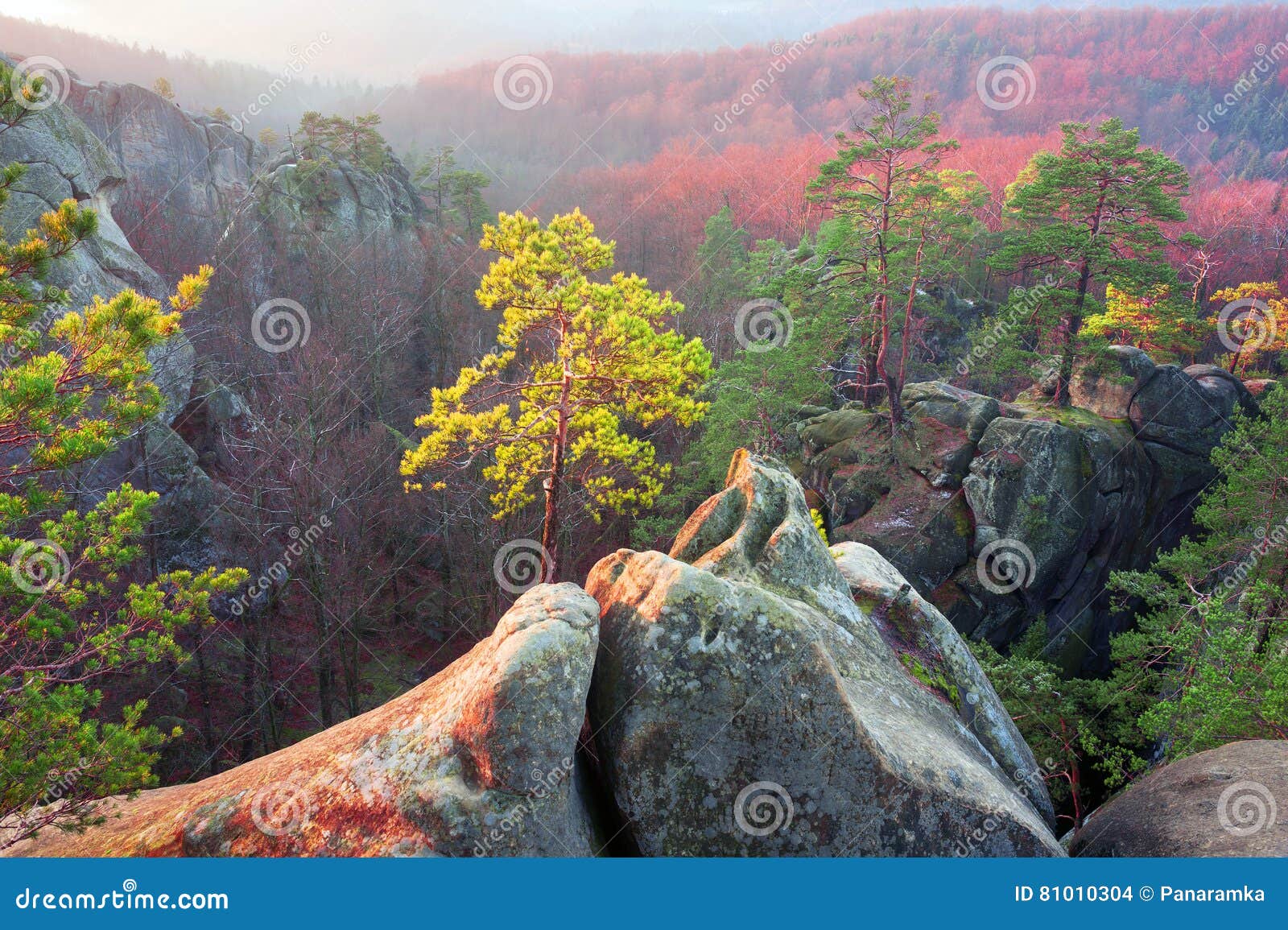 rocks at dawn bubnyshche