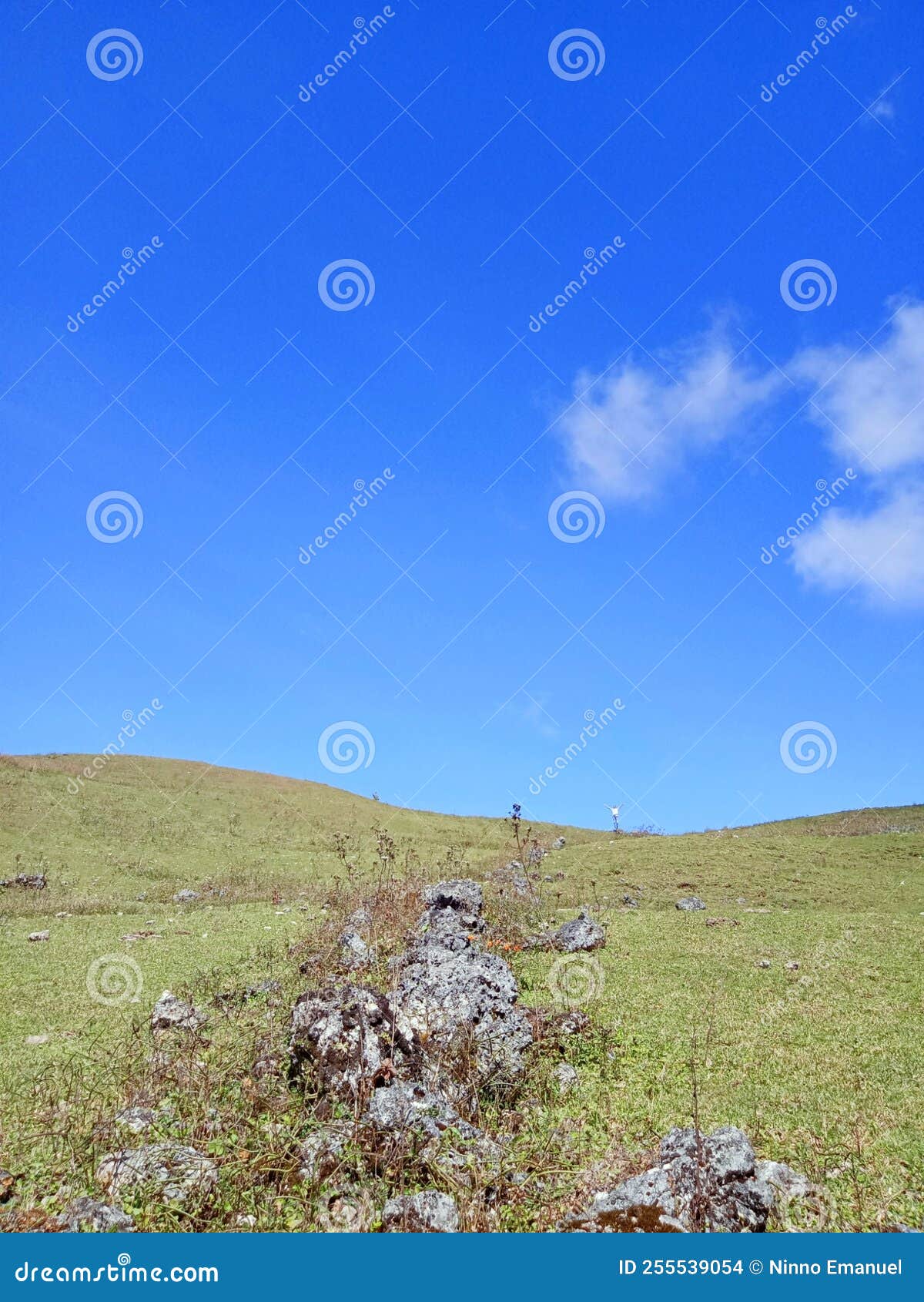 rocks and meadows in fulan fehan atambua ntt