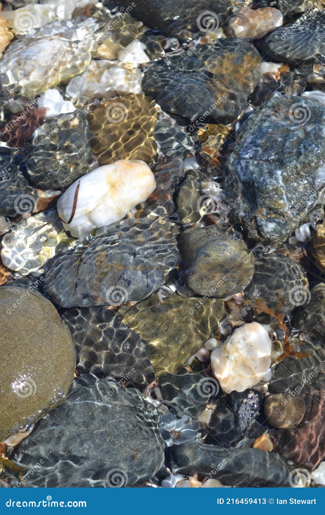 pebbles on the beach with lapping sea water. rock pool, mediterranean sea.