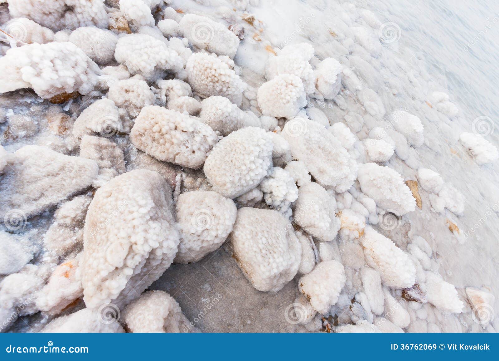 Rocks with Salt on the Dead Sea Stock Image Image of middle