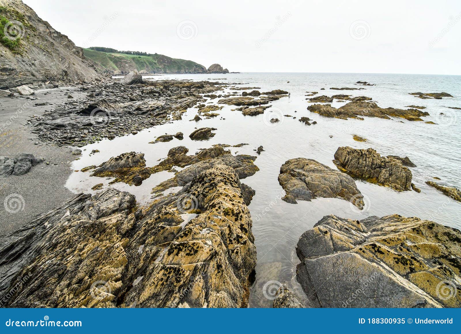 rocks in the sea, photo as a background , in principado de asturias, spain europe
