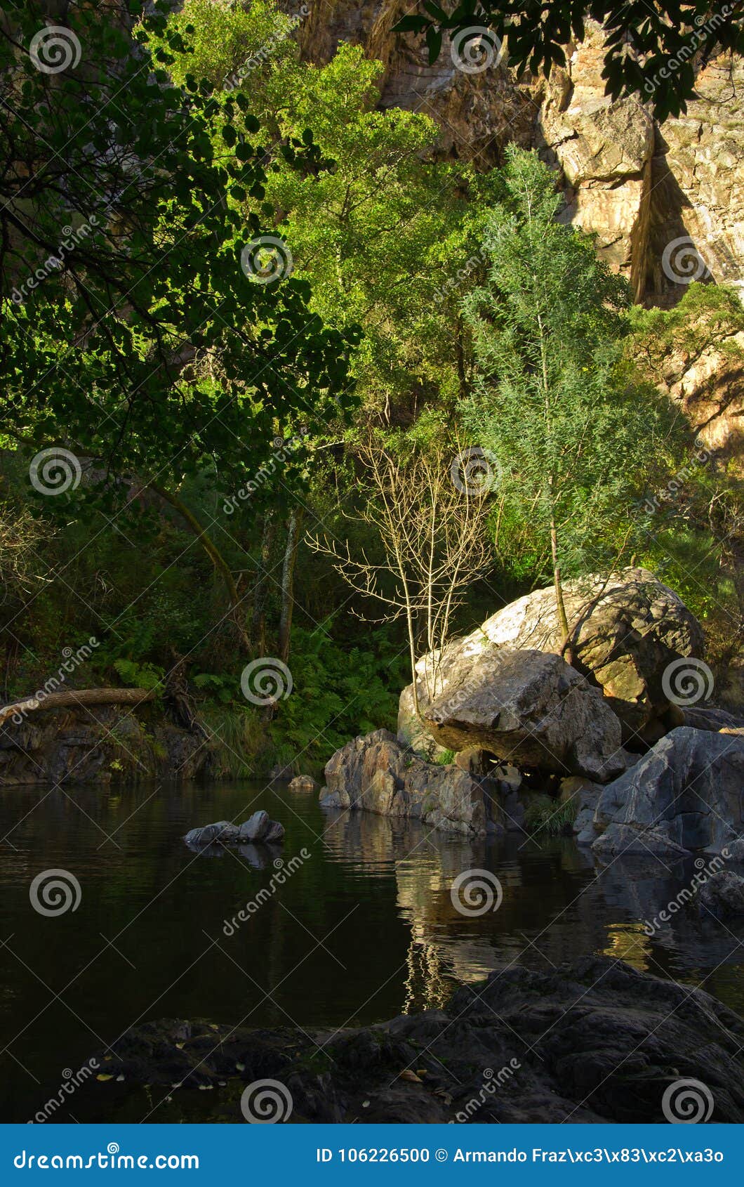 rocks, trees and water at fragas de sao simao