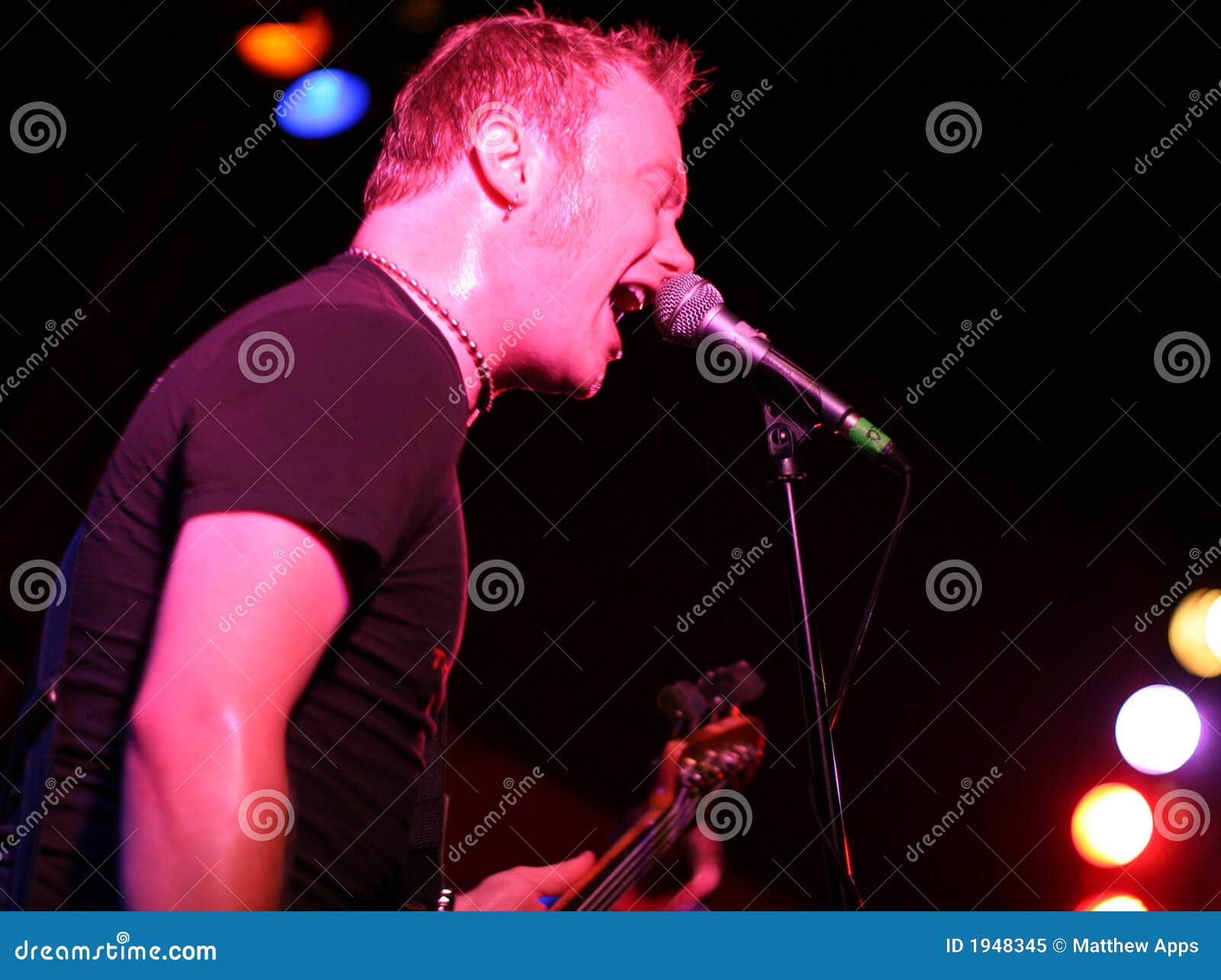 Rockstar Singing And Playing Guitar On Stage Royalty Free Stock Photo