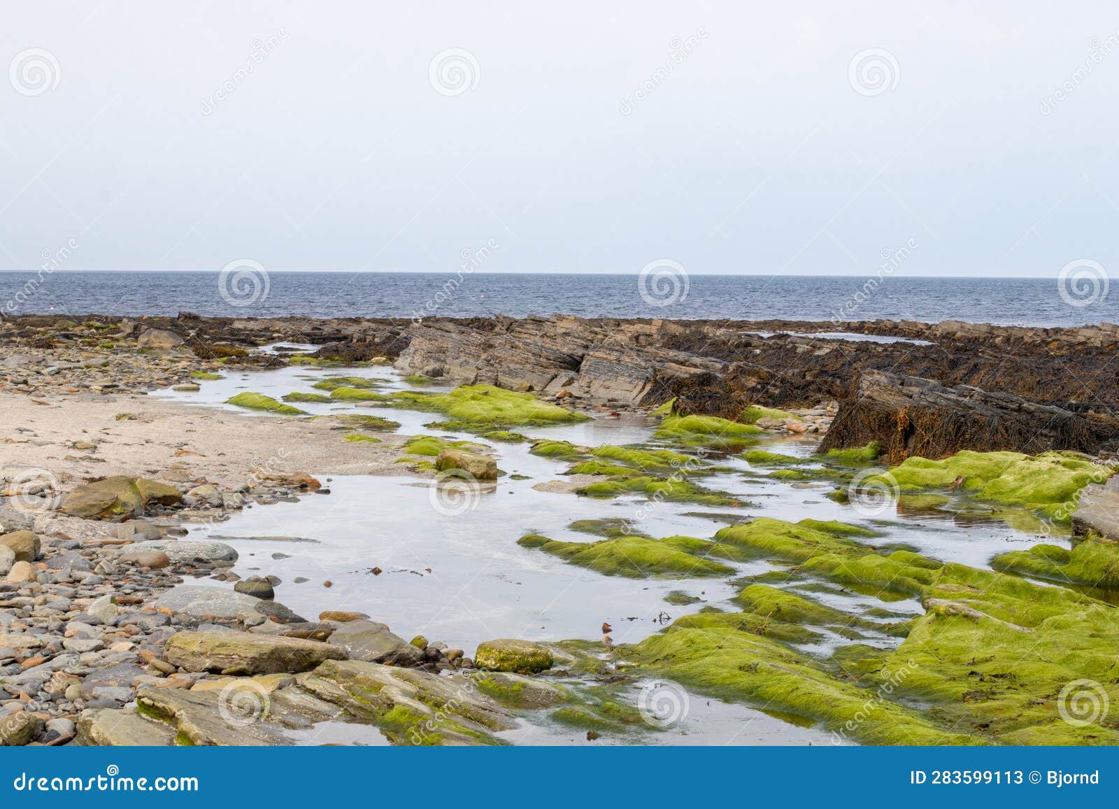 A Rocky Beach with Low Tide, Next To the Path To Brough of Birsay Stock