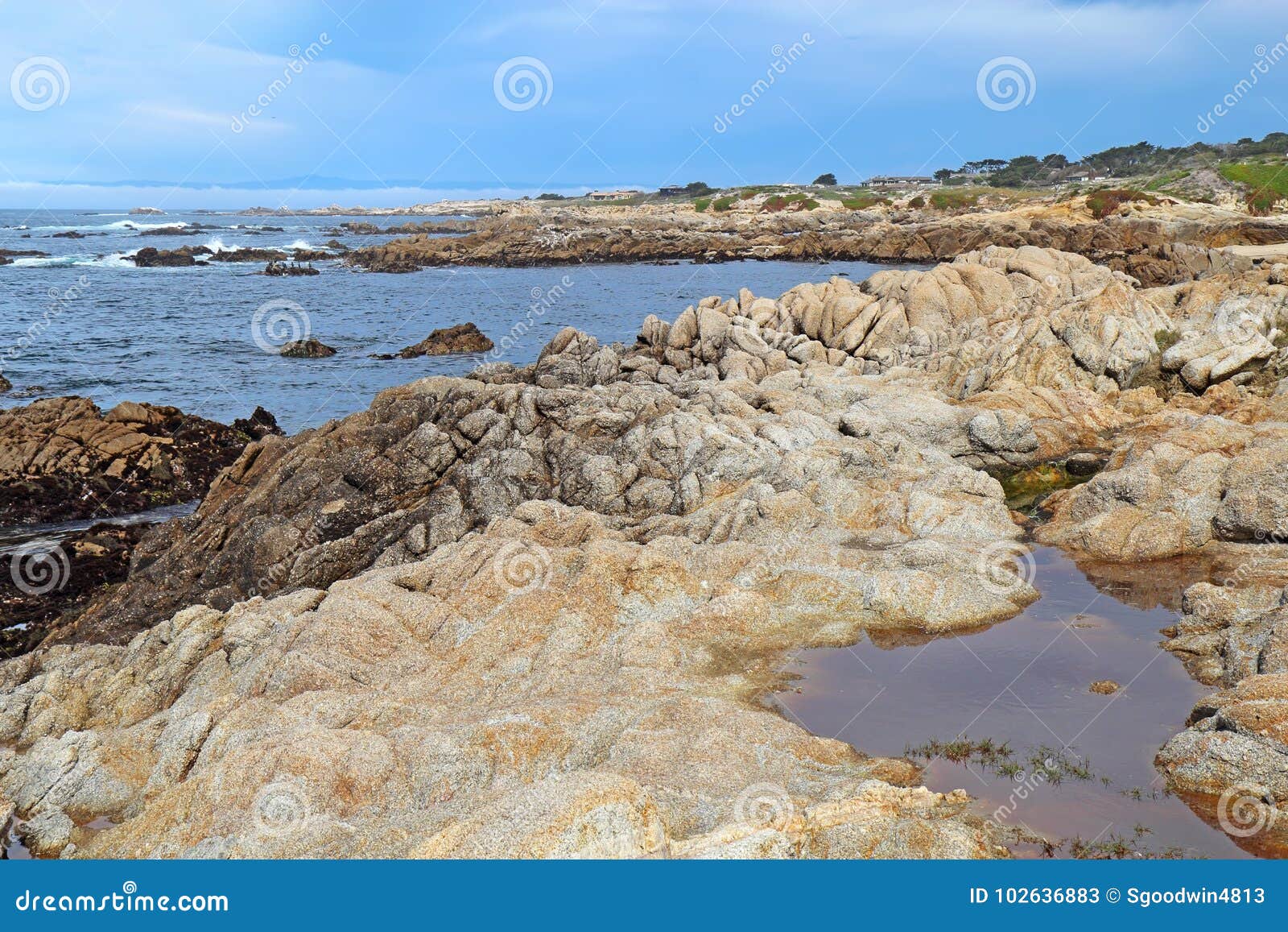 rocky bluffs and tide pools at asilomar state beach