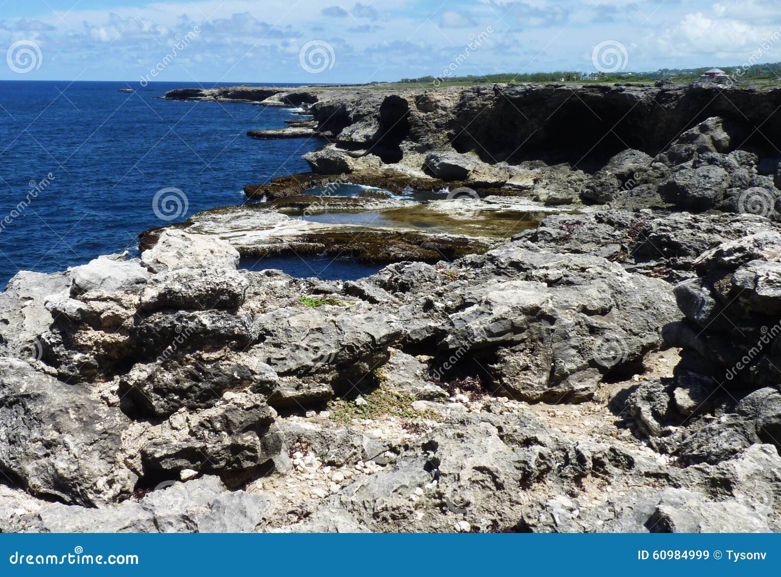 Rocky Cliffs in Barbados, West Indies Stock Image Image of indies