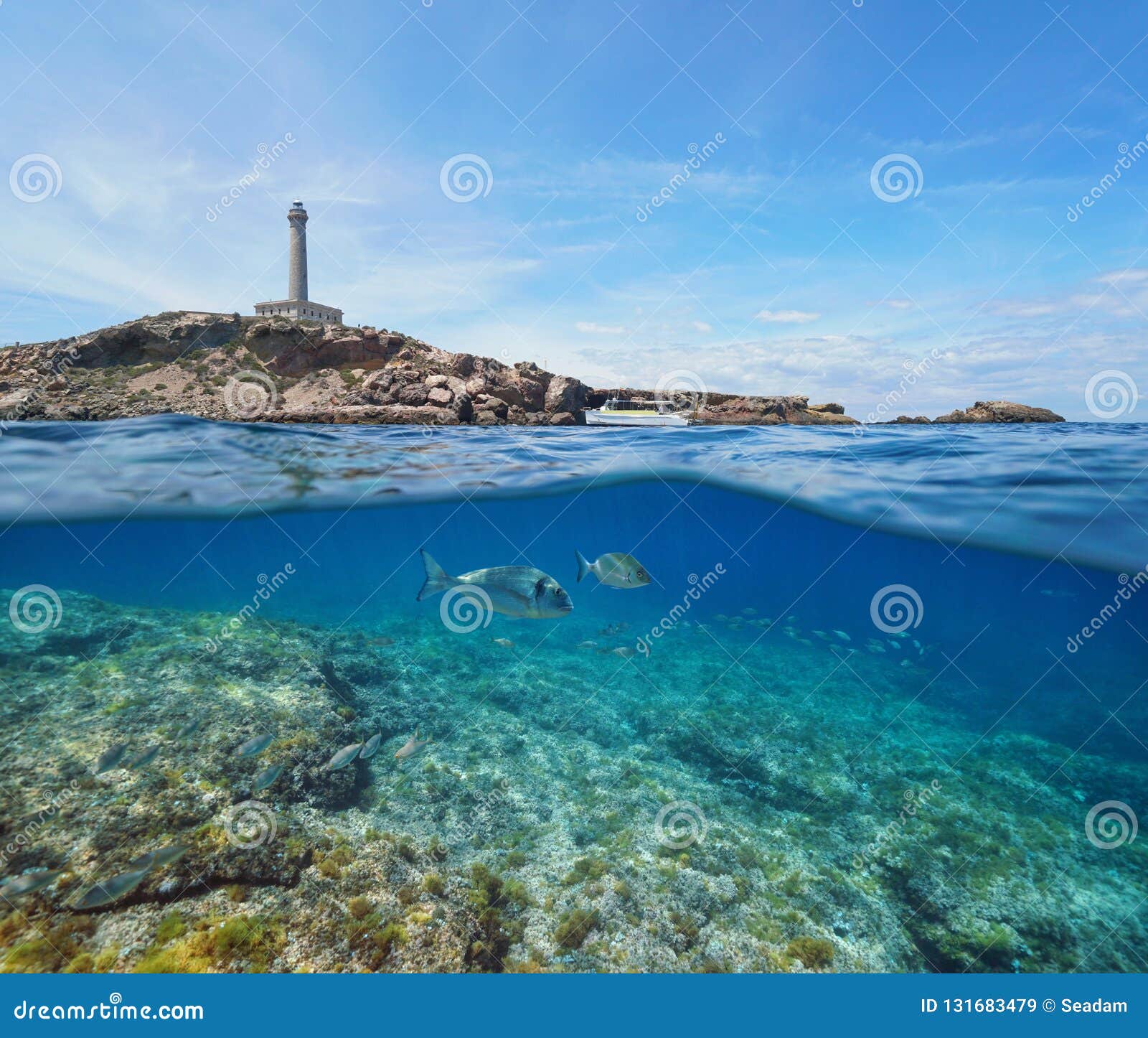 640 Above Below Sea Level Photos Free Royalty Free Stock Photos From Dreamstime 640 Above Below Sea Level Photos Free Royalty Free Stock Photos From Dreamstime