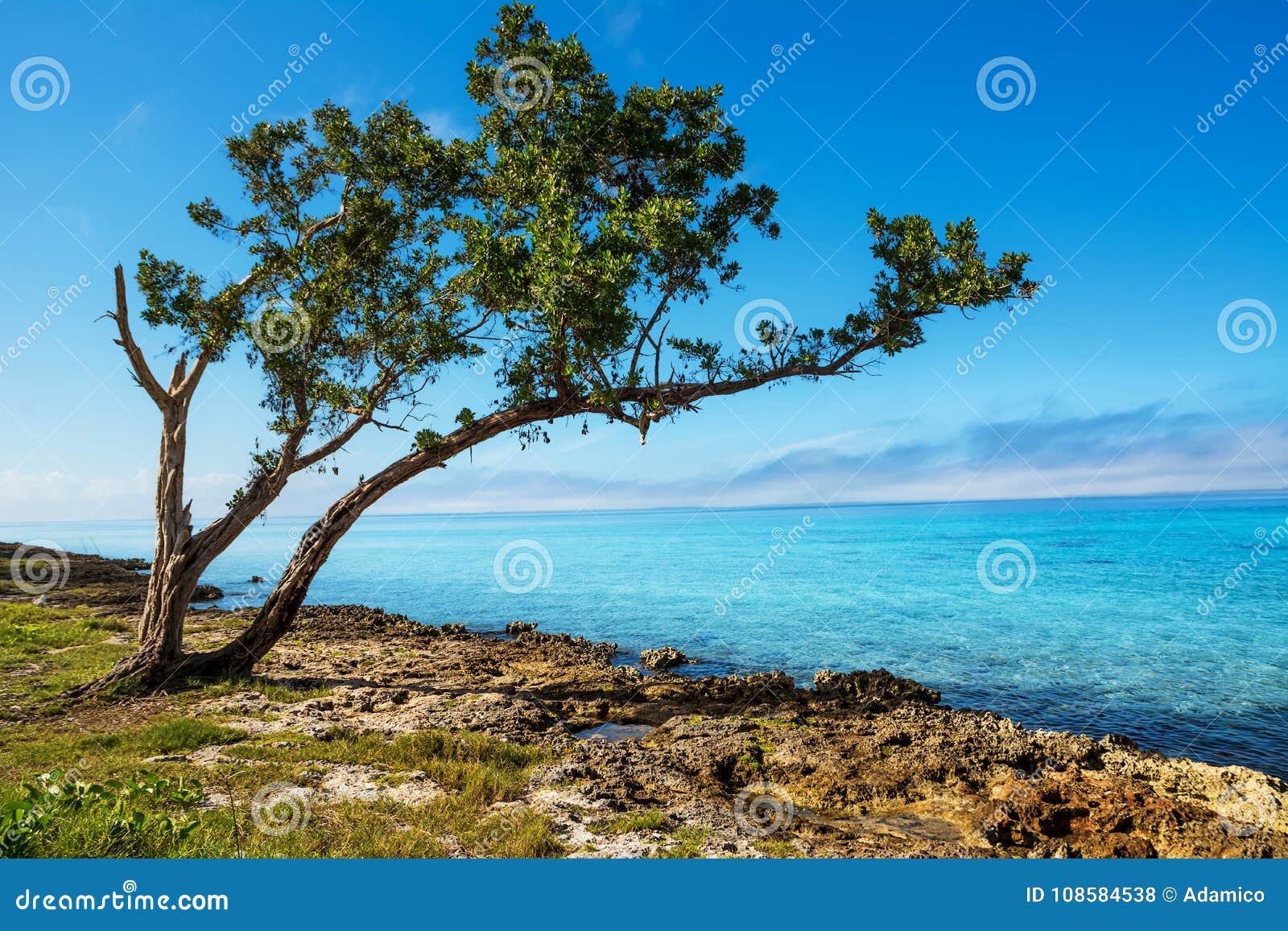 rocky coast at playa larga in cuba