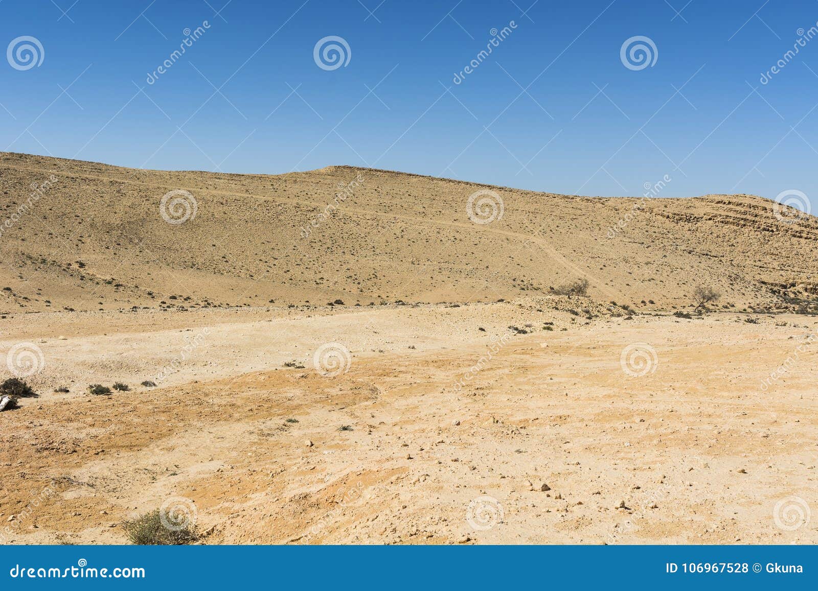 Wadis and Craters of Israel Desert. Stock Photo - Image of land, hiking