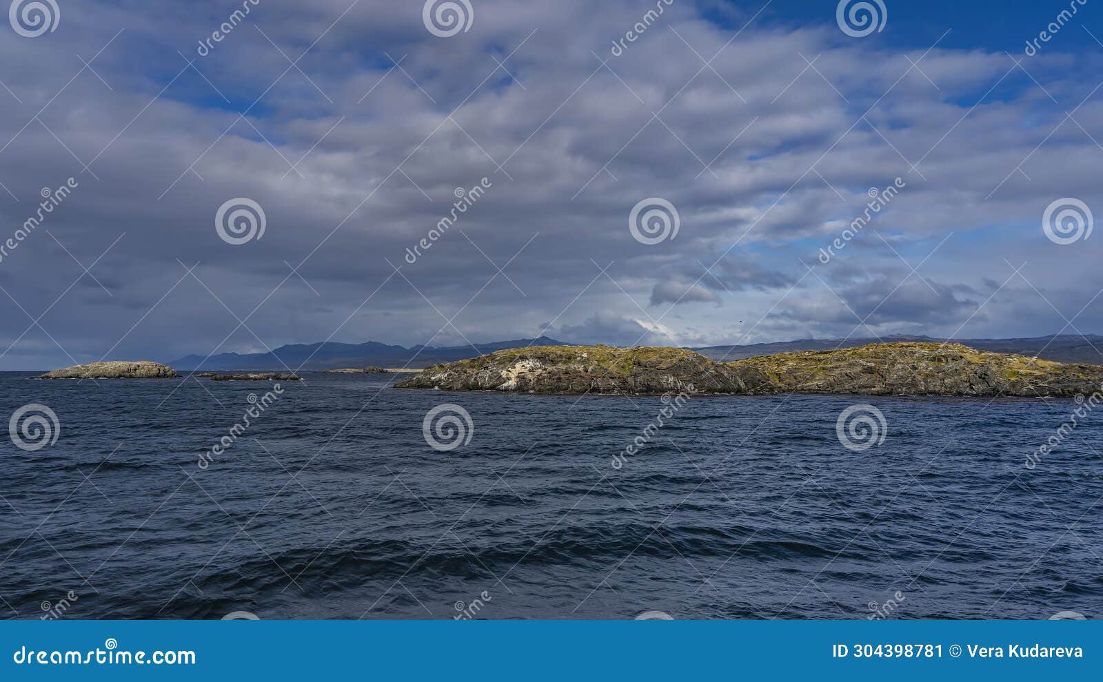 the rocky islets in the beagle channel are covered with sparse stunted vegetation.