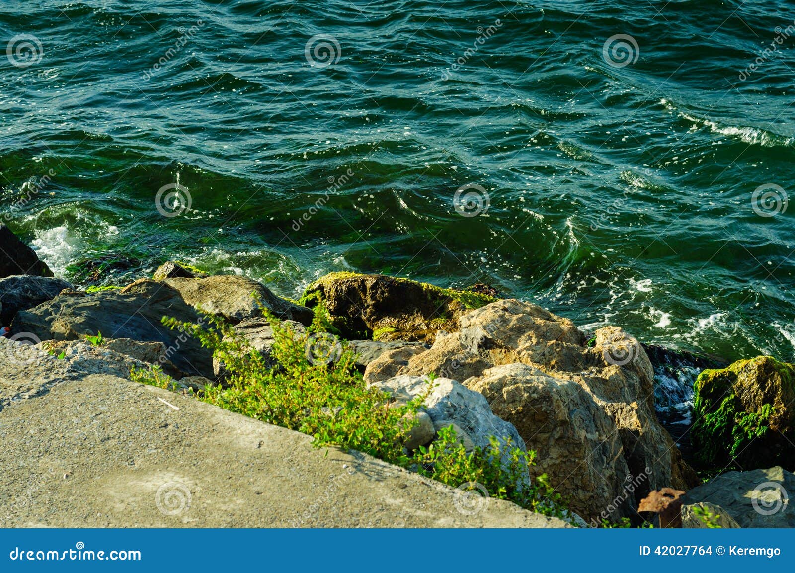 Rocky linia brzegowa. Rocky shoreline on a windy day with moss and waves hitting the rocks.