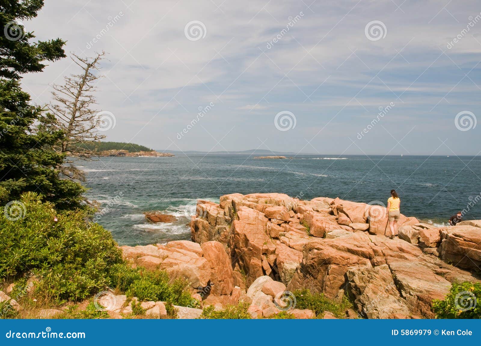 rocky maine coastline 5869979