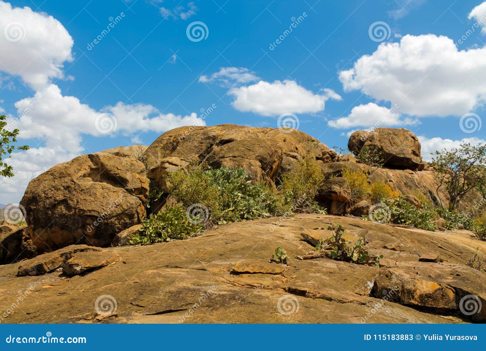 rocky mountain hill in african savanna bush