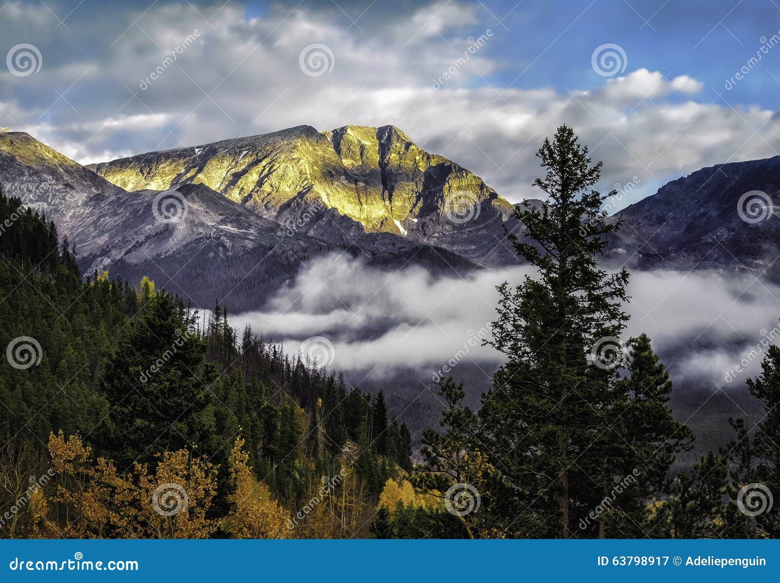 rocky mountain national park with fall colors