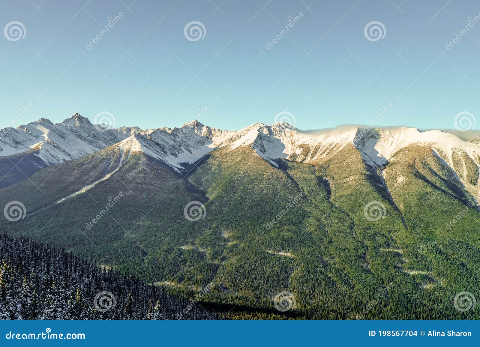 Rocky Mountain Range With Snowy Peaks Stock Photo Image Of Alberta Mountainsnearly Rocky Mountain Range With Snowy Peaks Stock Photo Image Of Alberta Mountainsnearly