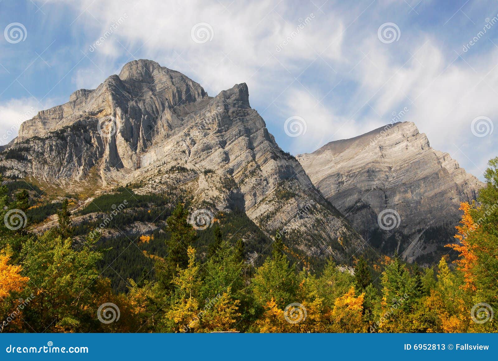rocky mountains and forests