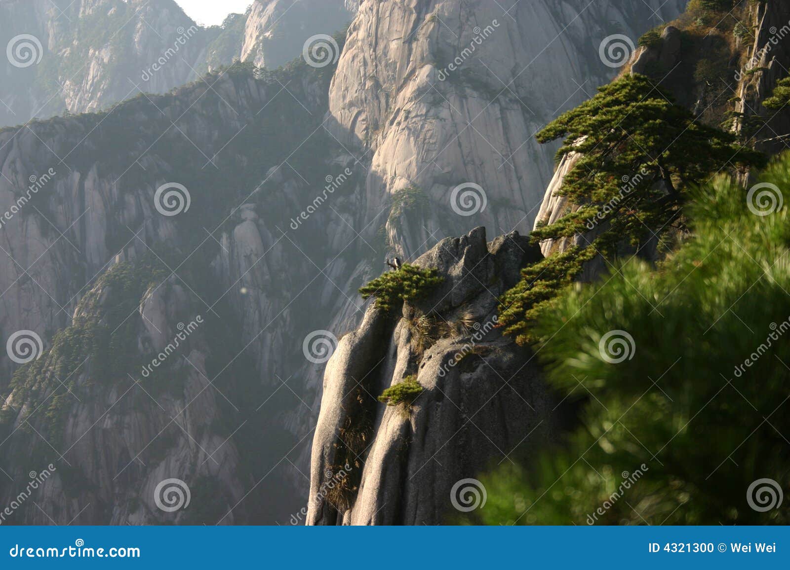 rocky mountainside