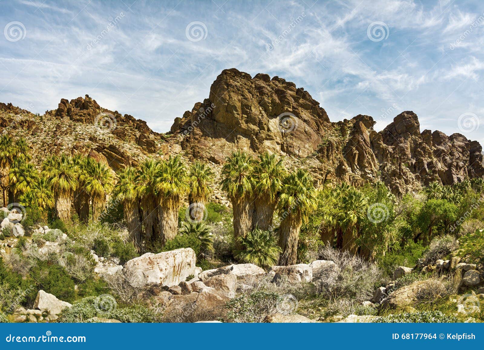 rocky mountainside lined with palm trees