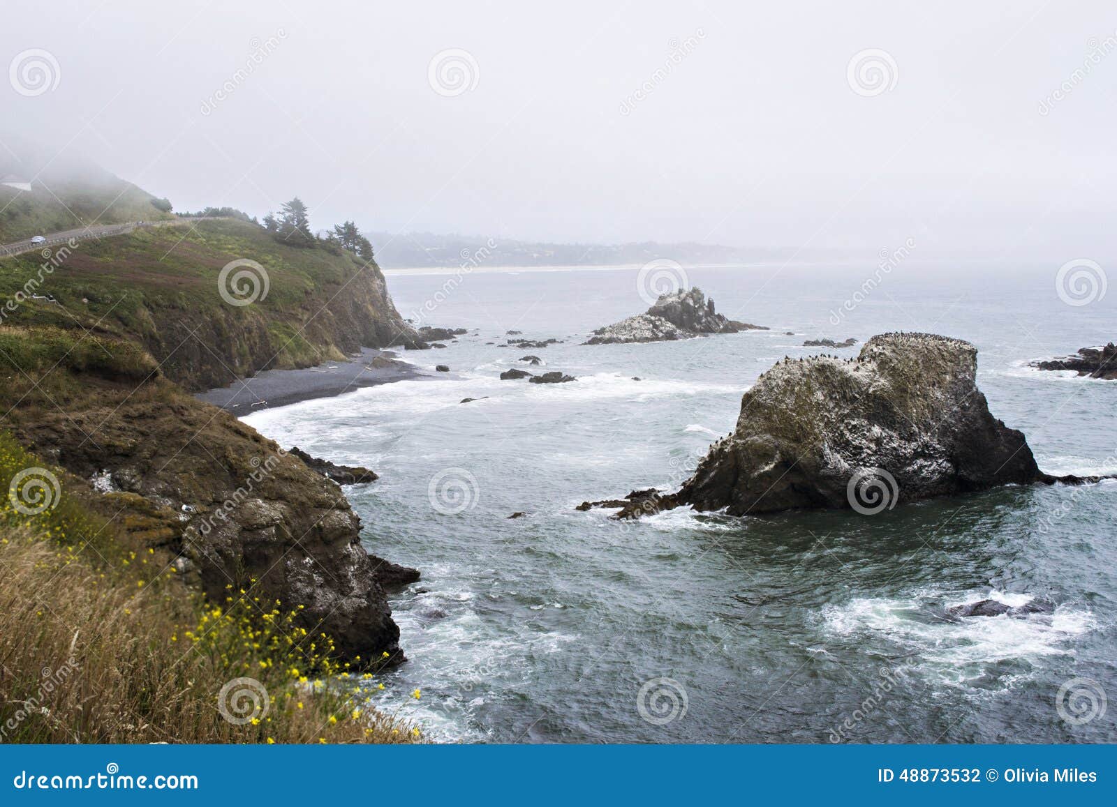 Rocky na plaży. Fotografia skalista plaża wzdłuż oceanu Oregon wybrzeże Brać w Lipu 2014 i faleza