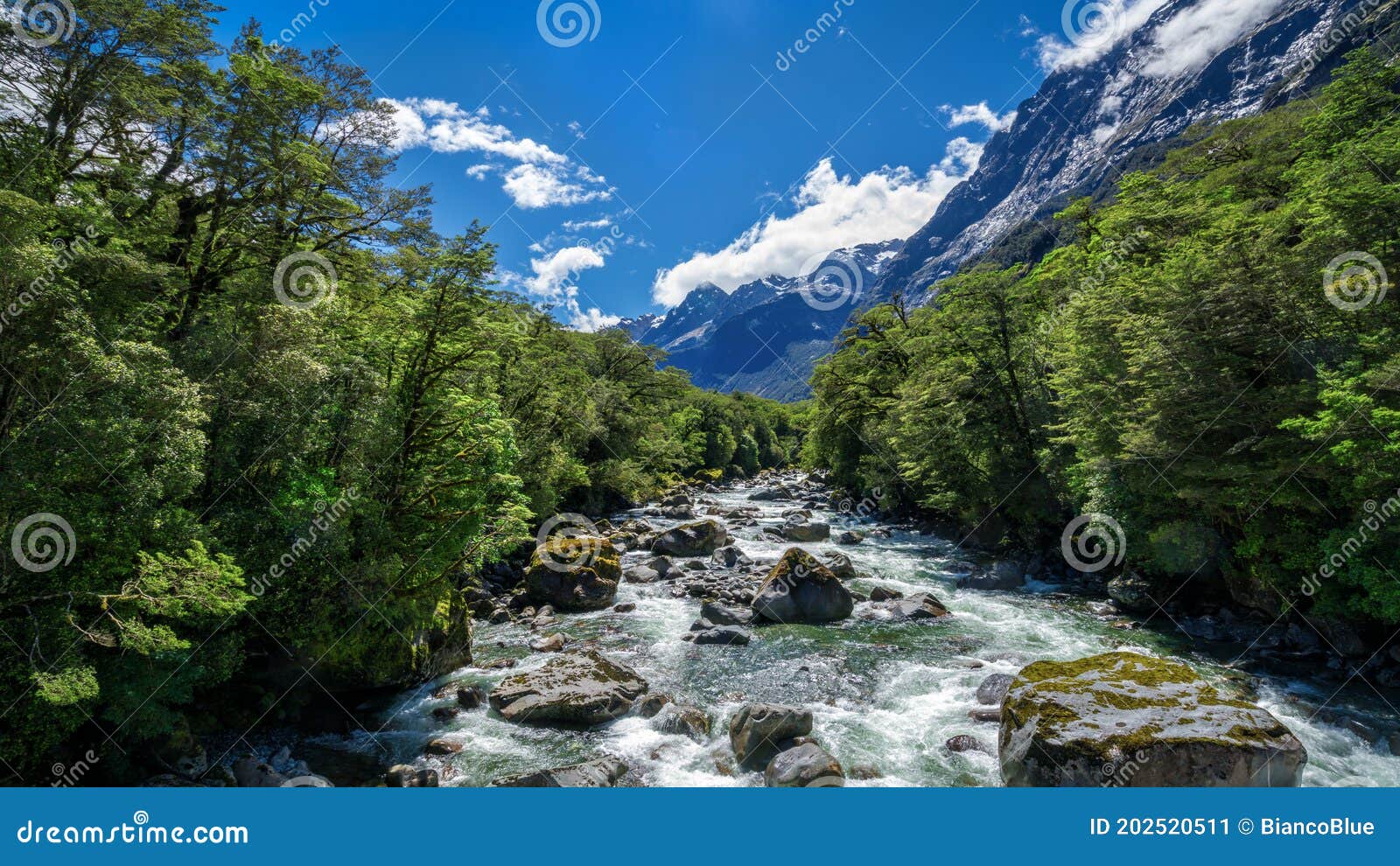 rocky river landscape in rainforest, new zealand