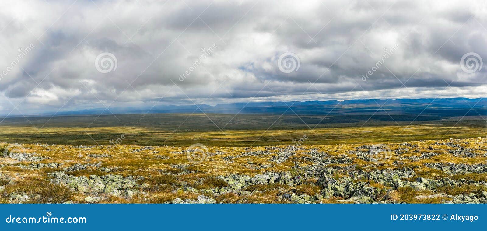 Rocky Tundra and Taiga in the Distance on a Rainy Day Stock Photo - Image  of russia, ural: 203973822