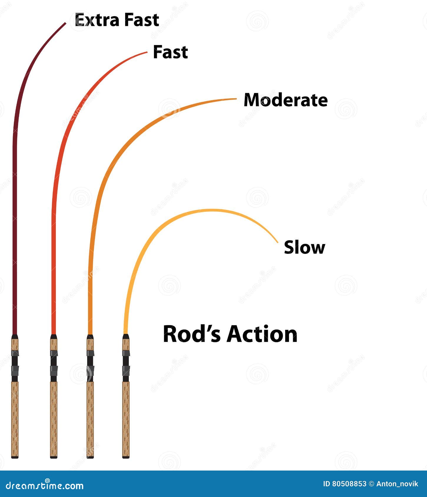 Fishing Rod Power And Action: What These Terms Mean & Why They're