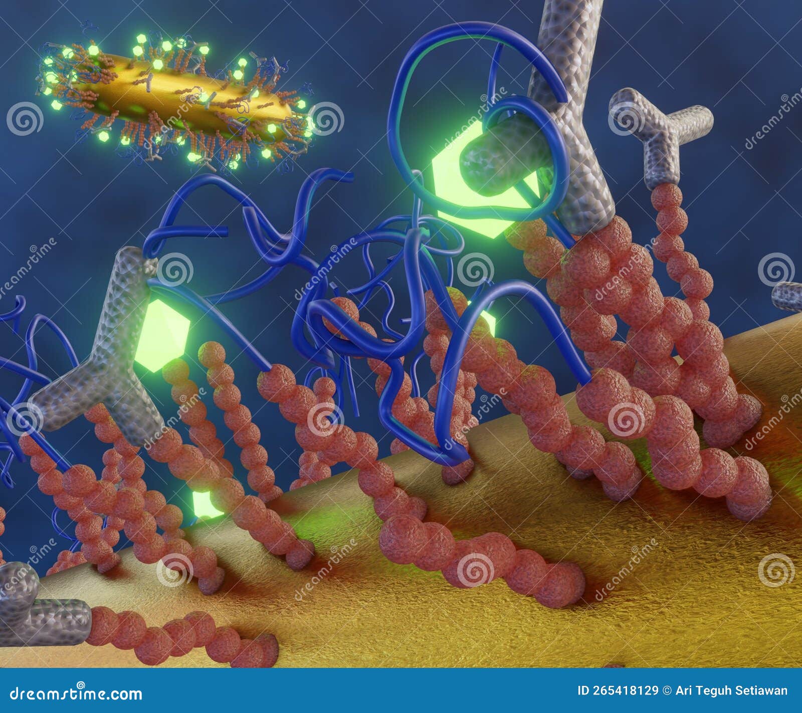 rod  gold nanoparticle conjugates peptides as biosensor