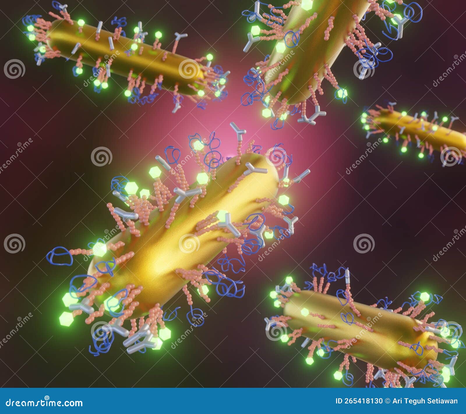 rod  gold nanoparticle conjugates peptides as biosensor
