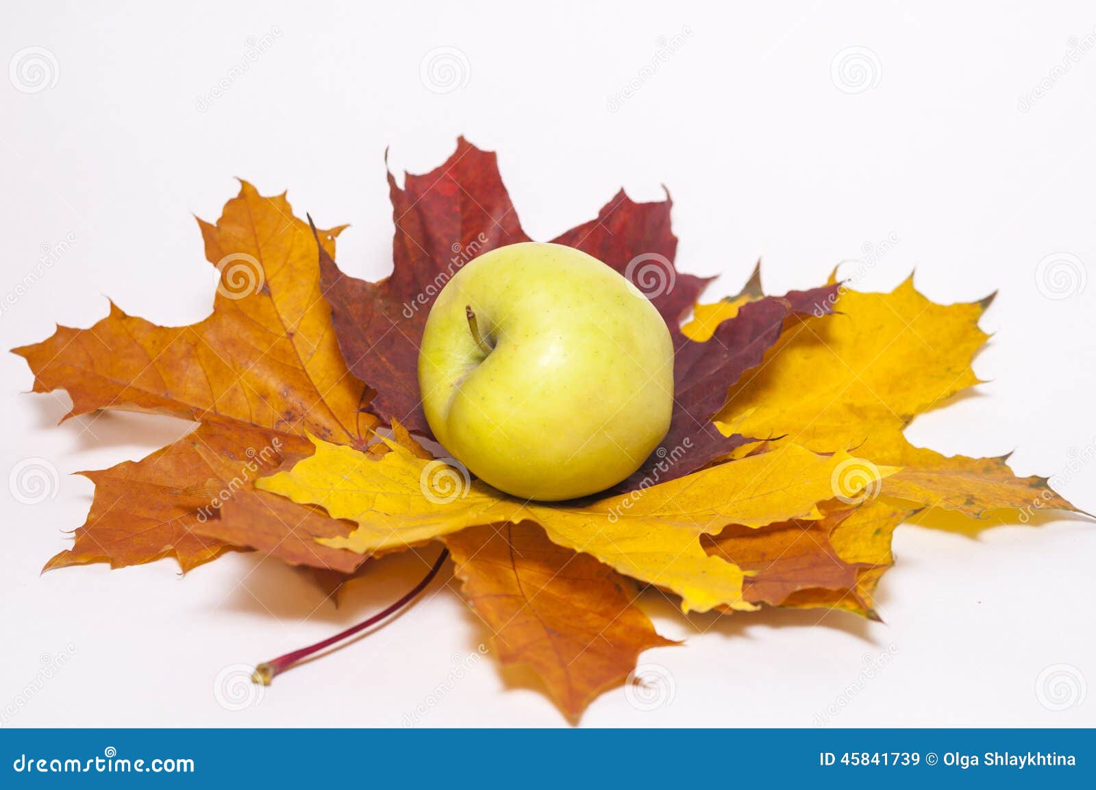 Rode appel op de bladeren van de de herfstesdoorn op de witte geïsoleerde achtergrond