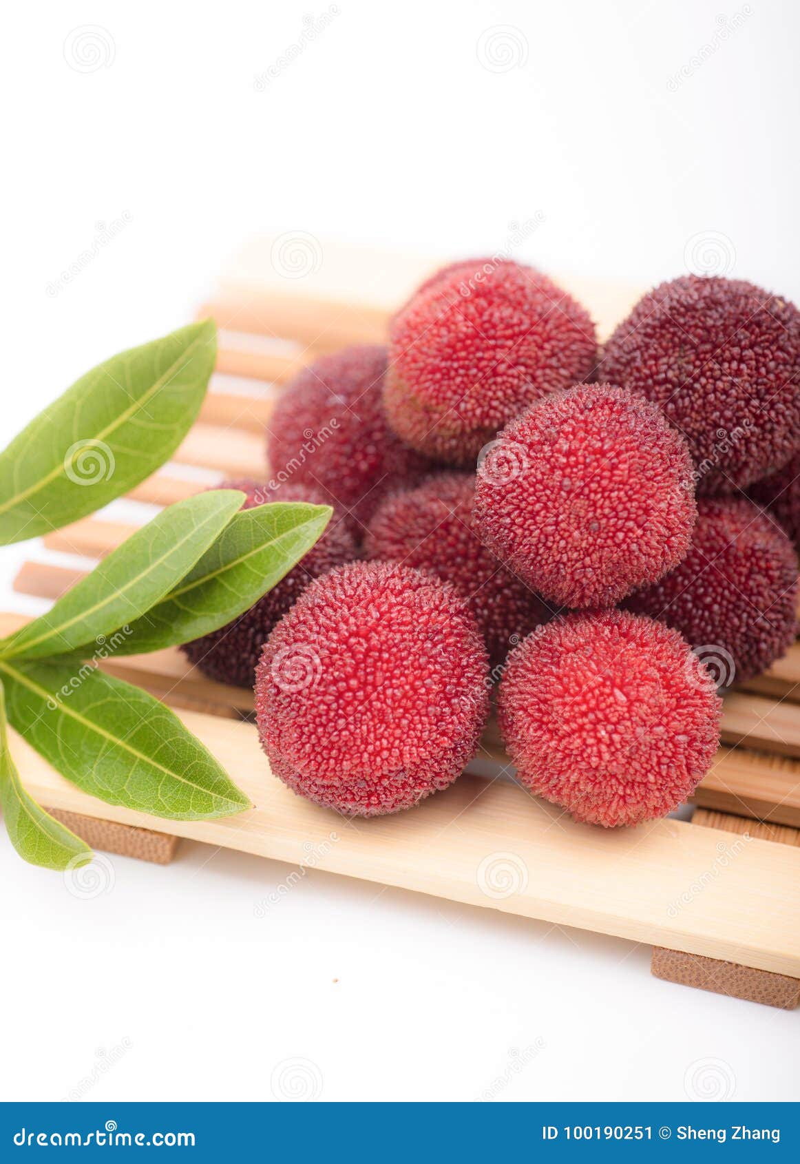 Rode bayberry. Rood bayberry, rood, vers fruit