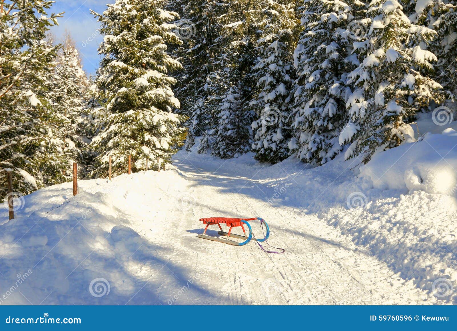 Rodel (Toboggan) in Red and Blue Stock Photo Image of forest, leaves