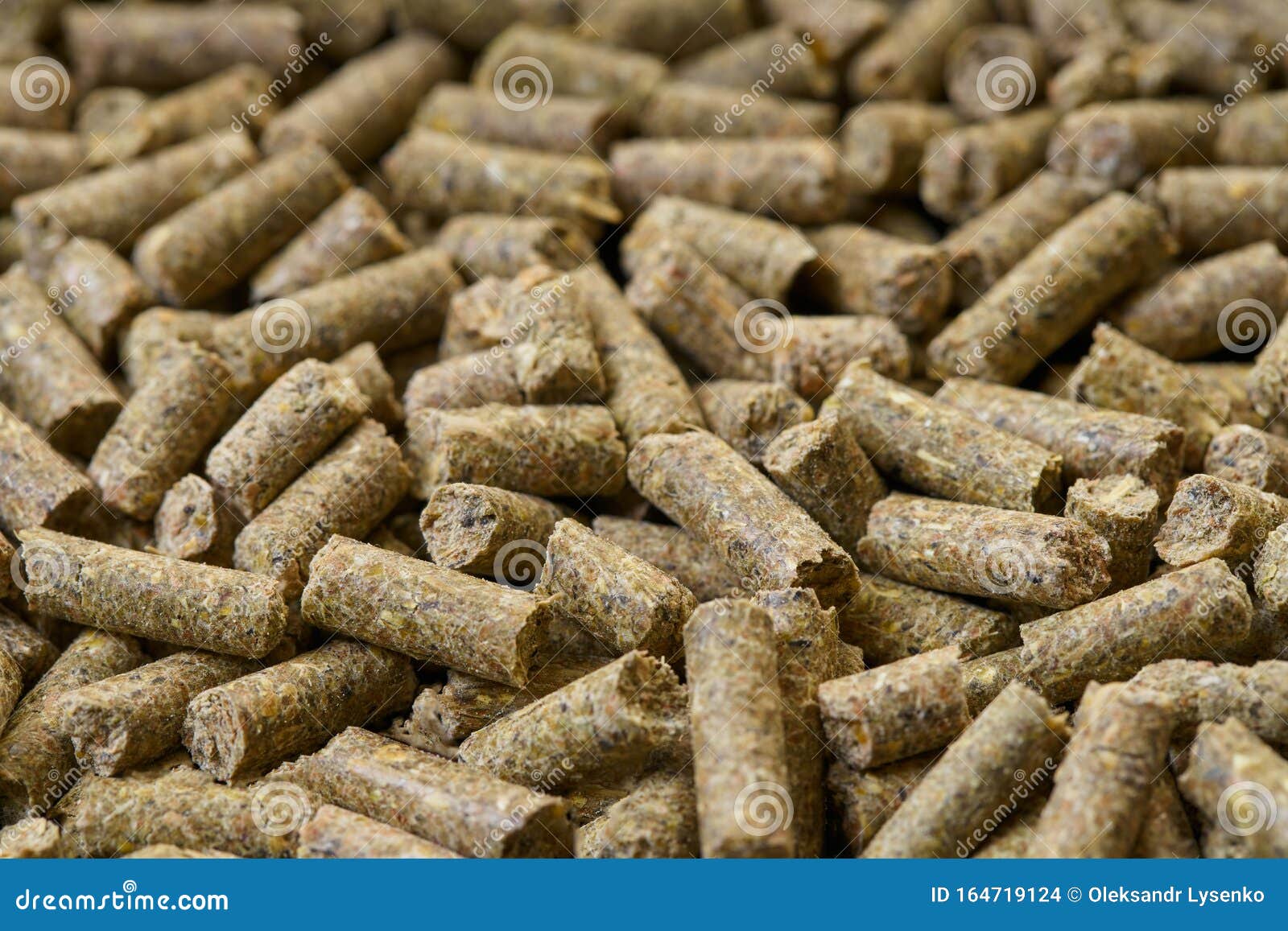 Rodent Feed Texture Closeup Stock Photo Image of background, domestic