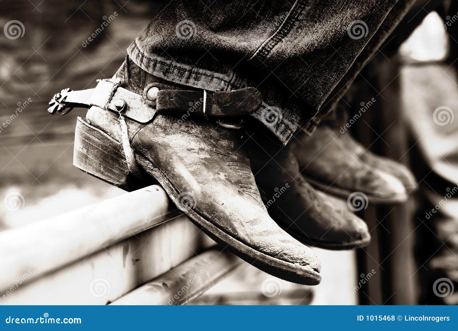 rodeo boots & spurs (bw)