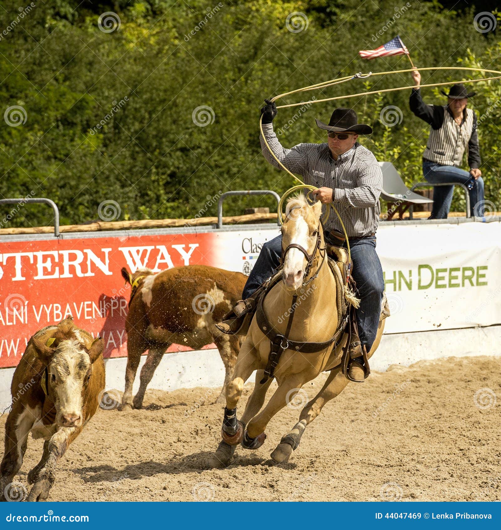 Rodeo Competition in Ranch Roping Editorial Stock Image Image of
