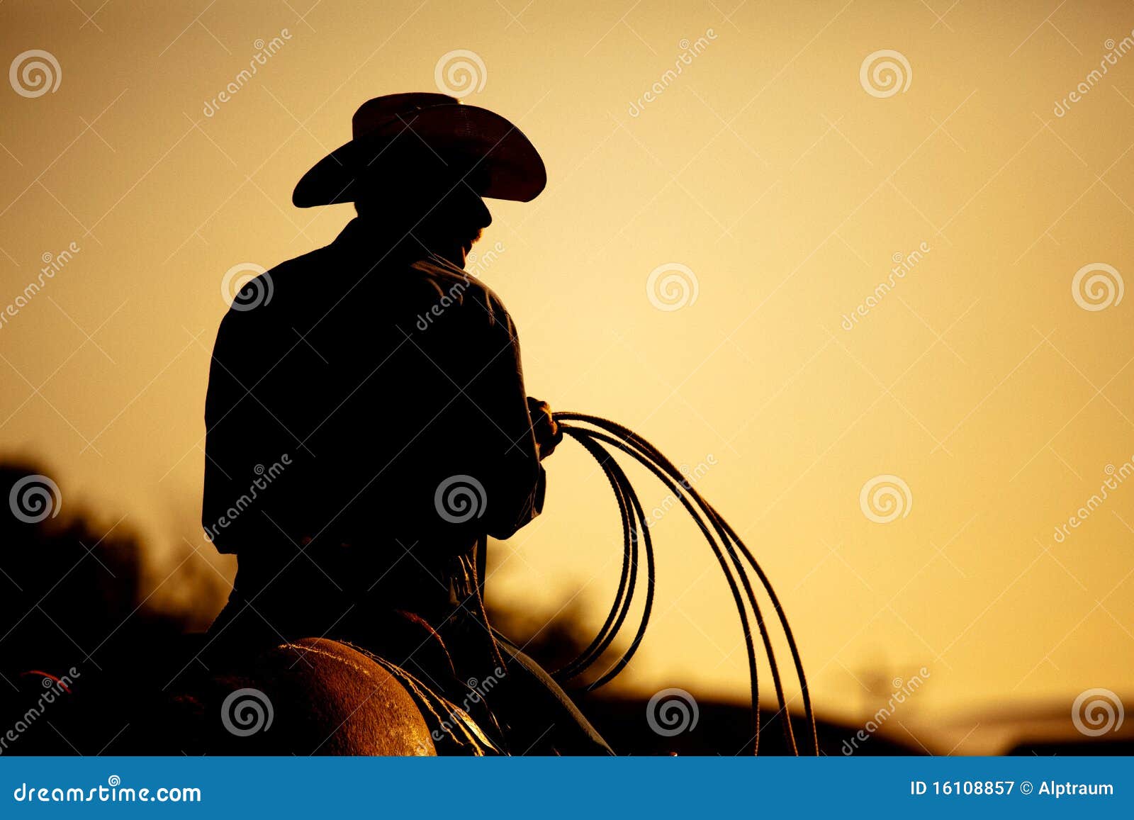 rodeo cowboy silhouette