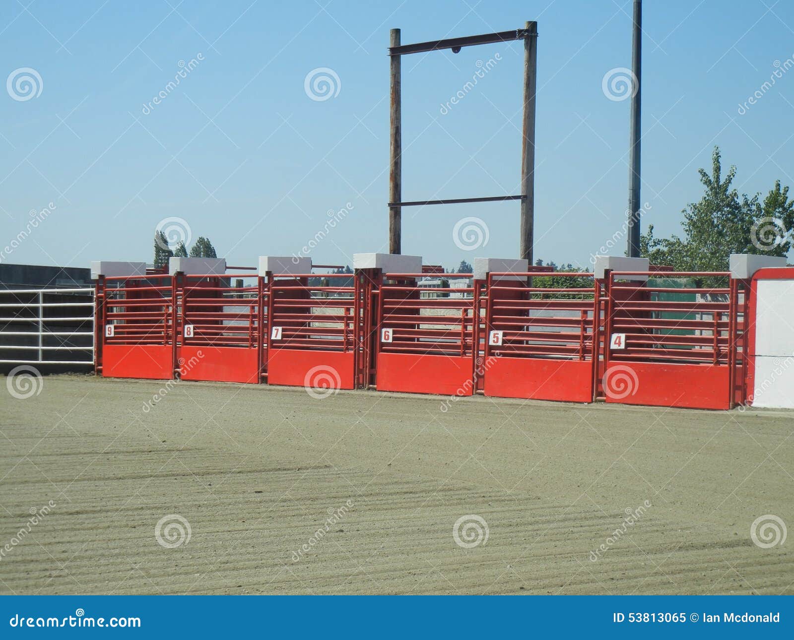 Rodeo Starting Gates Stock Photo Image 53813065