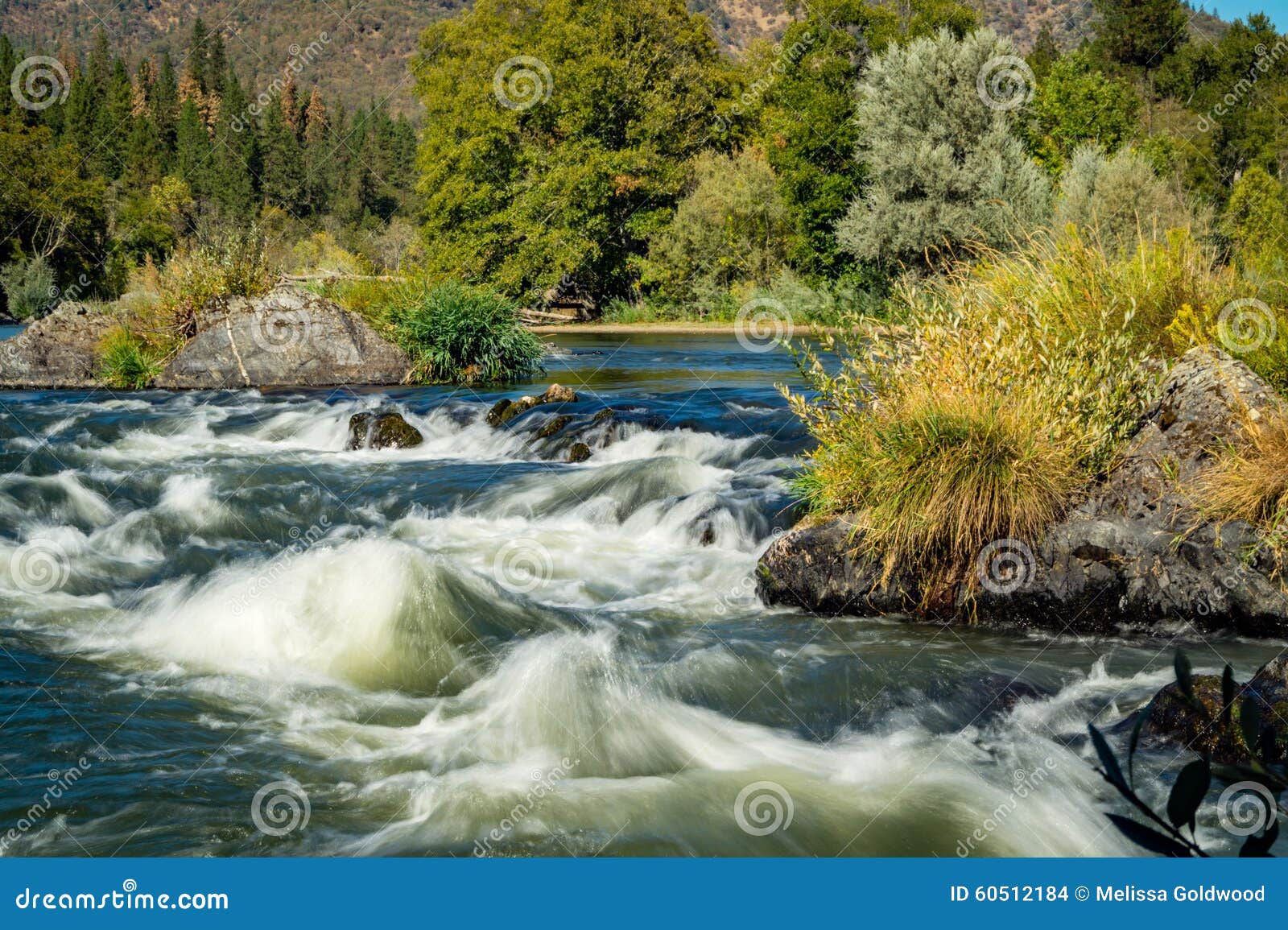 Rogue River stock photo. Image of landscape, gold, river 60512184