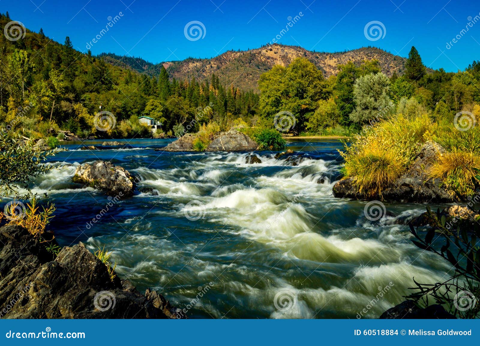 Rogue River stock photo. Image of mountain, landscape 60518884