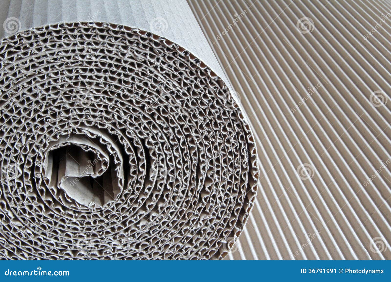 Roll of Corrugated Cardboard Paper Stock Image Image of textures