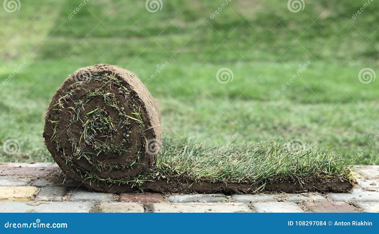 A Roll of Grass on the Paving Slab Stock Photo Image of garden, brown