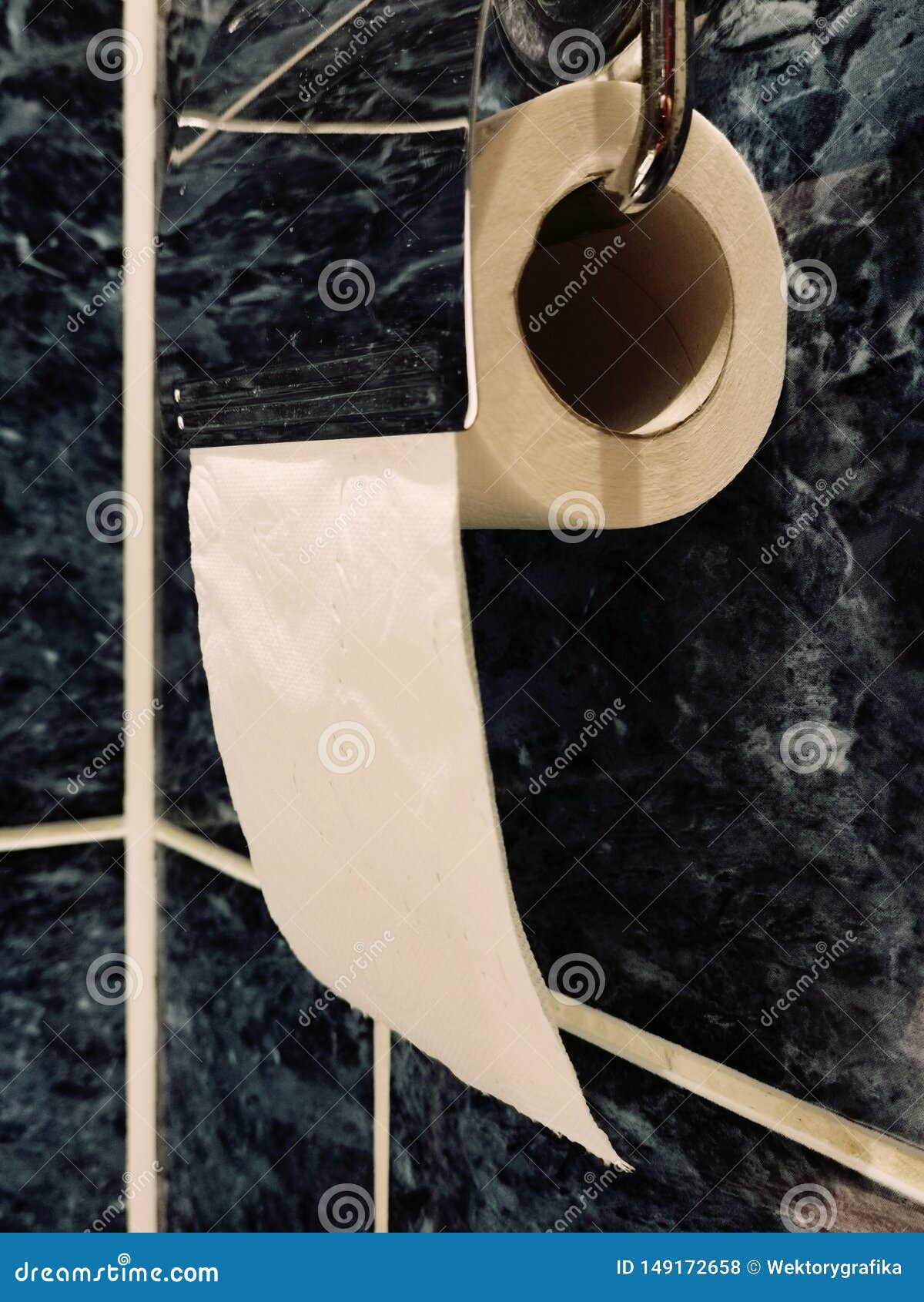 Roll of Toilet Paper Hanging on the Toilet Holder Stock Photo Image