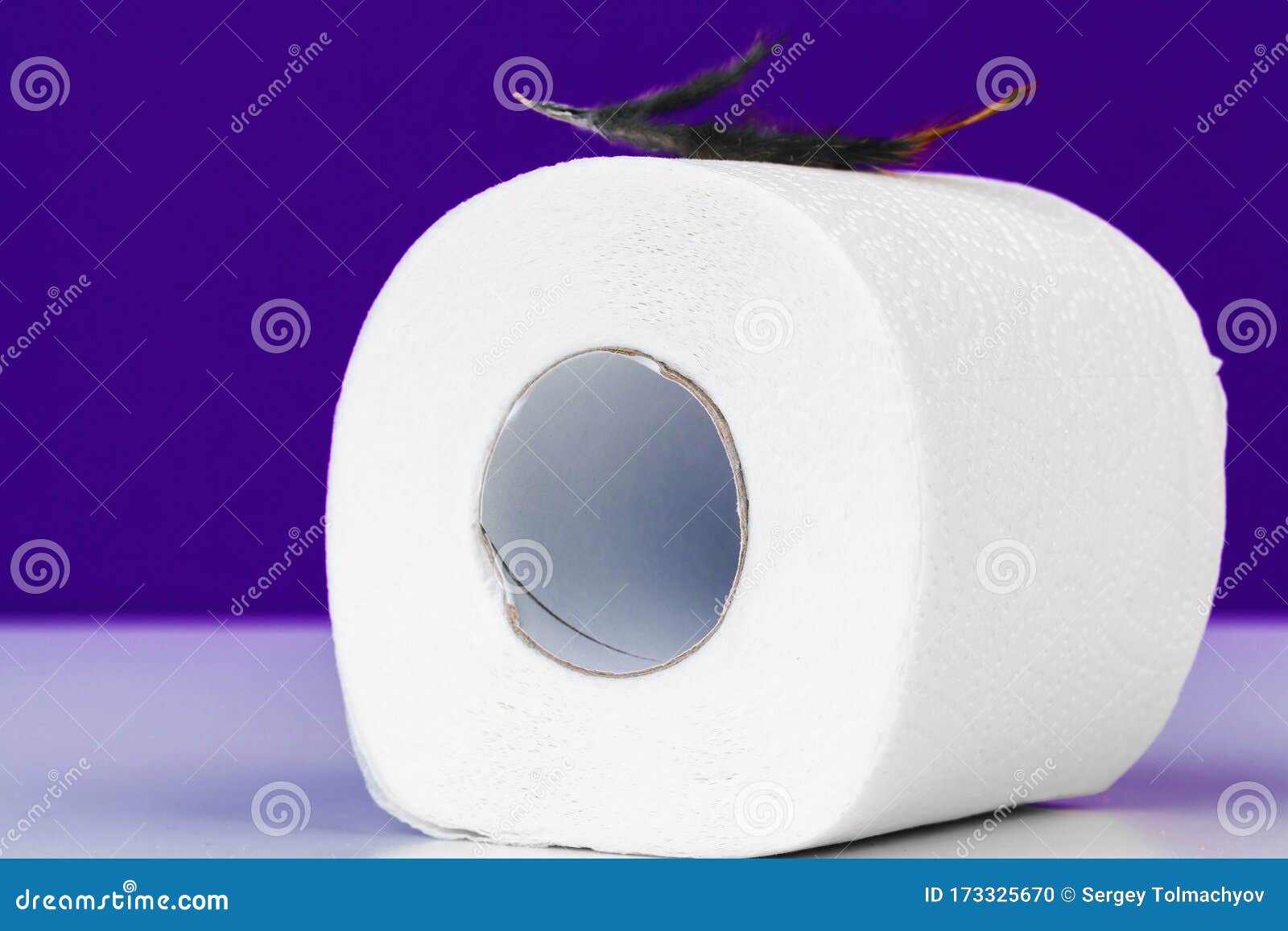 Roll Of Toilet Paper And Soft Feather On Color Table Creative Photo