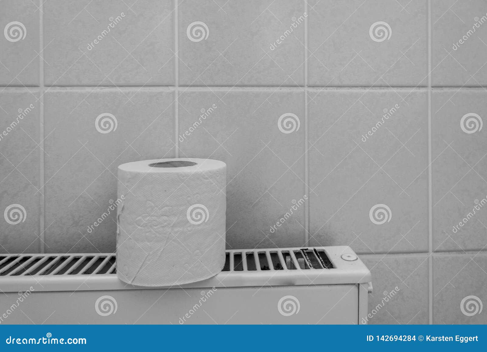A Roll of Toilet Paper Stands on a Radiator Stock Photo Image of help
