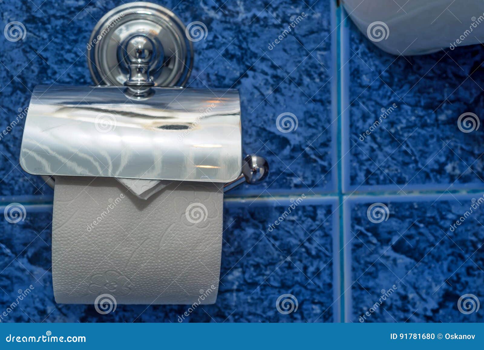 Roll of toilet paper stock photo. Image of health, bumf 91781680