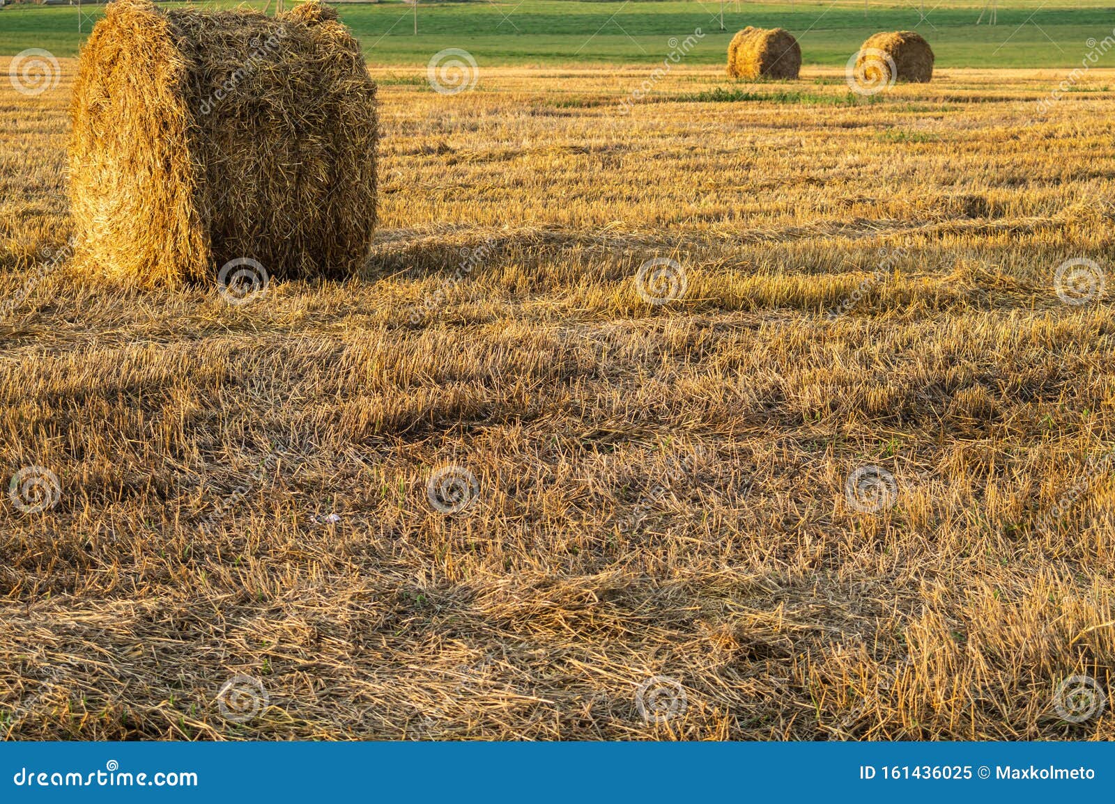 Rolled Haystack Hay Bale Agriculture Field Rural Landscape Straw On