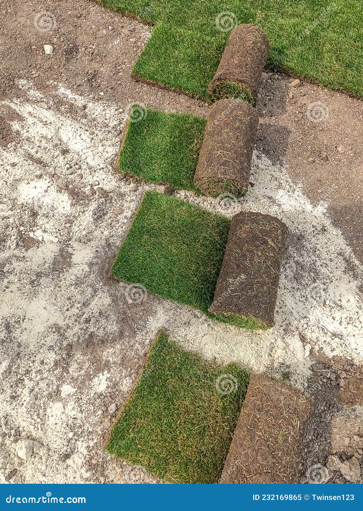 Rolled Lawn Preparation for Laying. Twisted Rolls of Soil with Grass on
