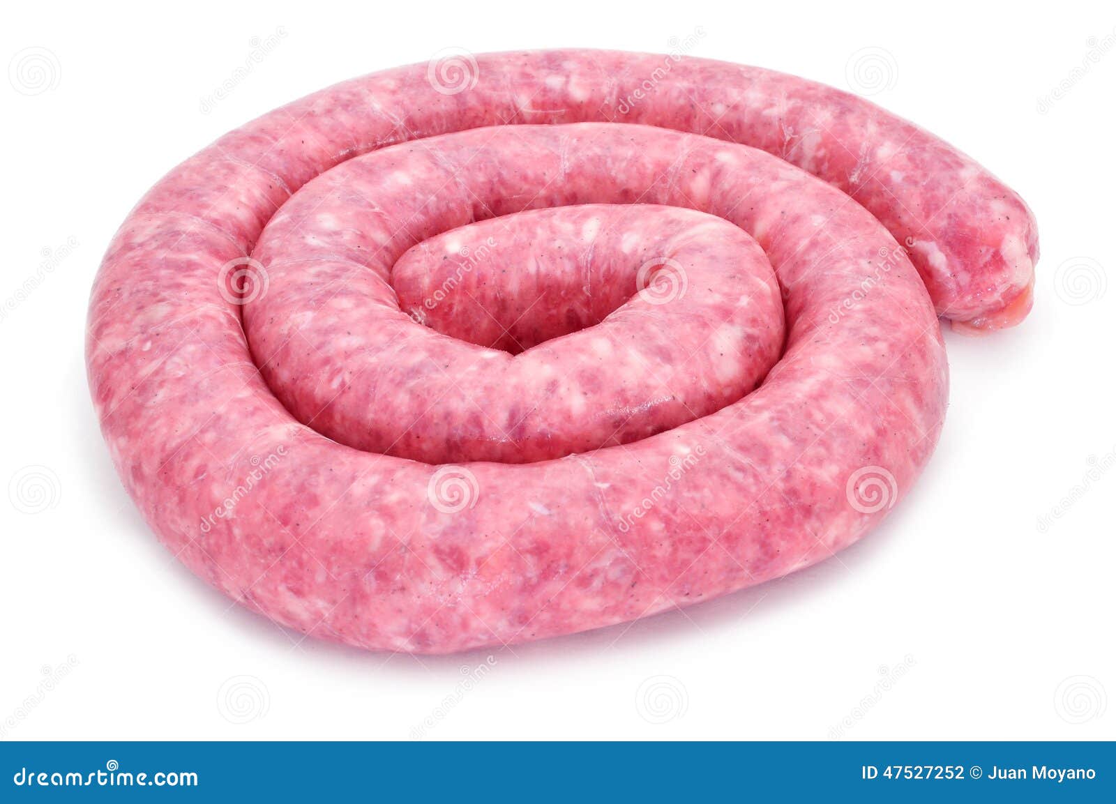 Rolled Uncooked Pork Meat Sausage Stock Photo Image of cuisine