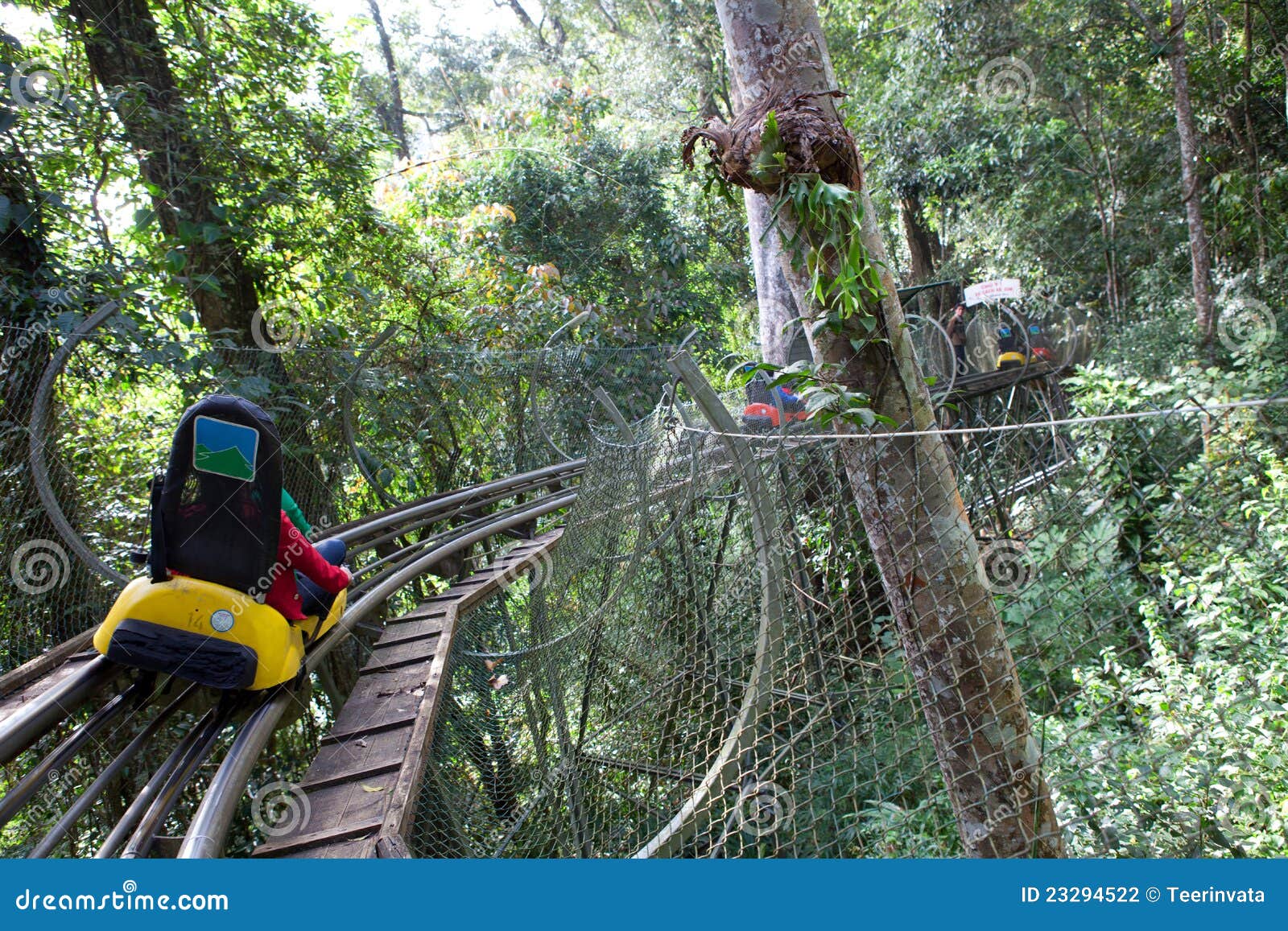 On the Roller Coaster stock photo. Image of happy, adventure 23294522