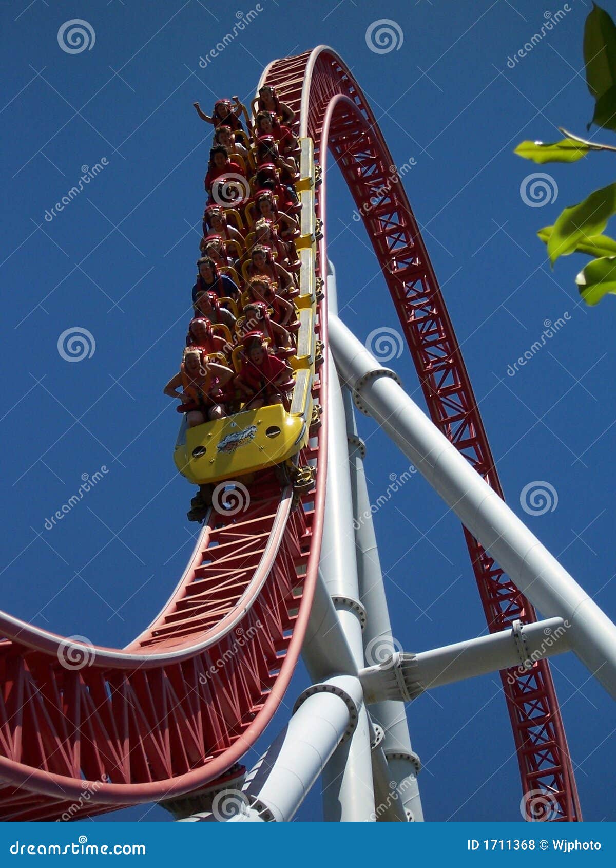 Roller Coaster Drop stock photo. Image of drop, train - 17113681065 x 1300